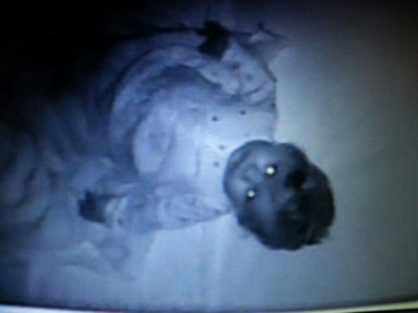 1uglldl3oxcgmsr3ldlb5dvnbvt0qkab_lg